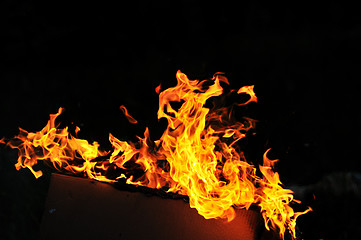 Image showing wild fire