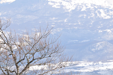 Image showing winter landscape