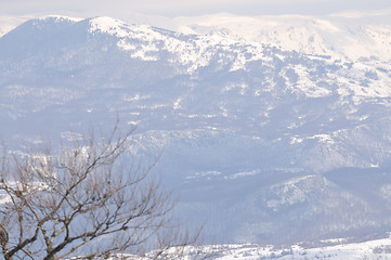 Image showing winter landscape