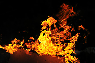 Image showing wild fire