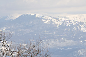 Image showing winter landscape