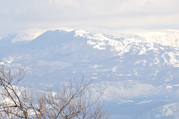 Image showing winter landscape