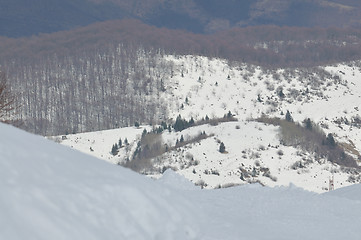 Image showing winter landscape