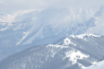 Image showing winter landscape