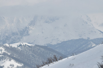 Image showing winter landscape