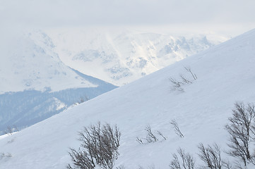 Image showing winter landscape