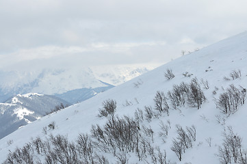 Image showing winter landscape