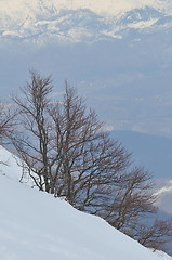 Image showing winter landscape