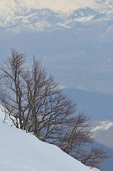 Image showing winter landscape