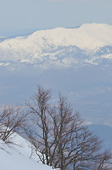 Image showing winter landscape