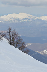 Image showing winter landscape