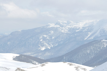 Image showing winter landscape