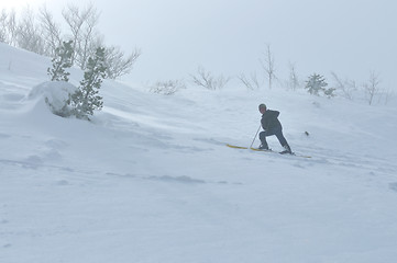 Image showing winter sport