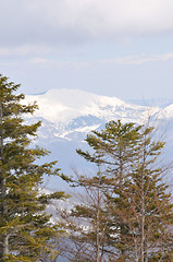 Image showing winter landscape