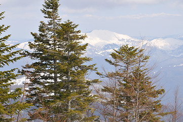 Image showing winter landscape