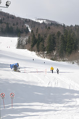 Image showing winter sport