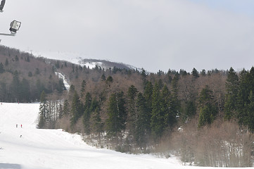 Image showing winter landscape