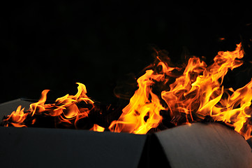 Image showing wild fire