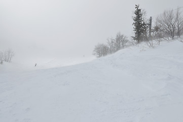 Image showing winter landscape