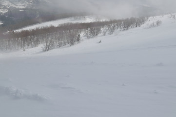 Image showing winter landscape