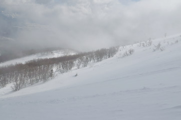 Image showing winter landscape