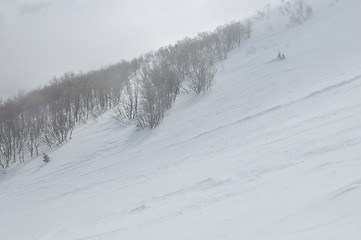 Image showing winter landscape