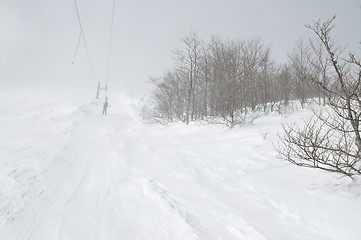 Image showing winter landscape