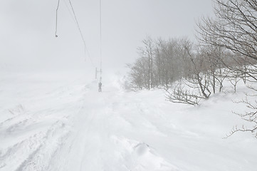 Image showing winter landscape