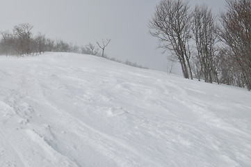 Image showing winter landscape