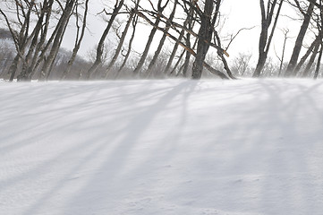 Image showing winter landscape