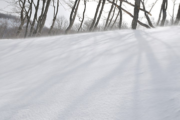 Image showing winter landscape