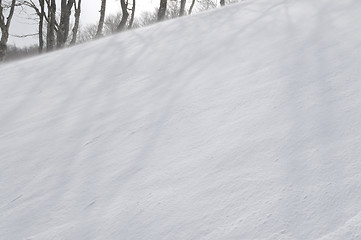 Image showing winter landscape