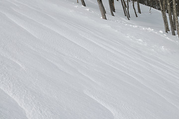 Image showing winter landscape