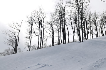 Image showing winter landscape