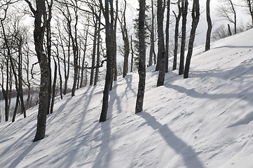 Image showing winter landscape