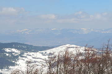 Image showing winter landscape