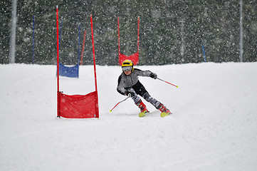 Image showing ski race