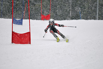 Image showing ski race