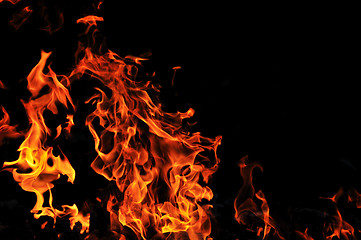 Image showing wild fire