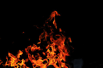 Image showing wild fire