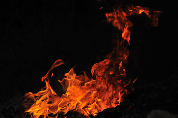 Image showing wild fire