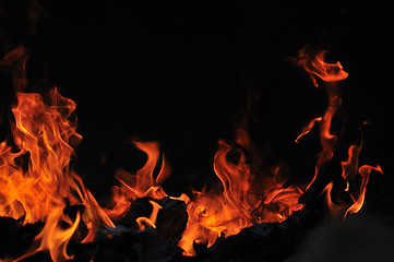 Image showing wild fire