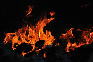 Image showing wild fire