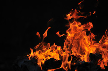 Image showing wild fire