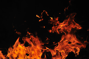 Image showing wild fire