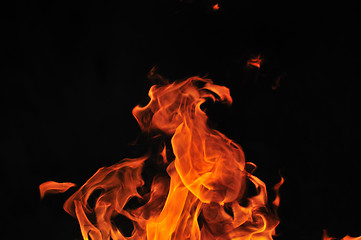 Image showing wild fire