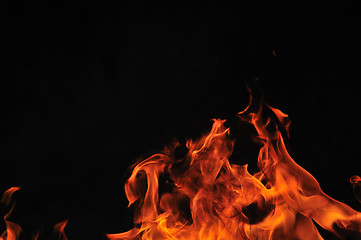 Image showing wild fire