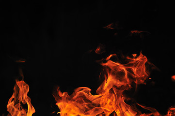 Image showing wild fire