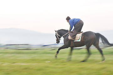 Image showing horse nature