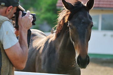 Image showing photographer and horse